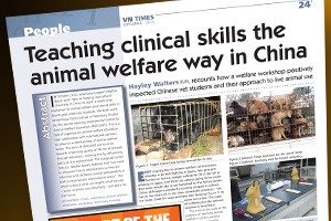 VN Times article