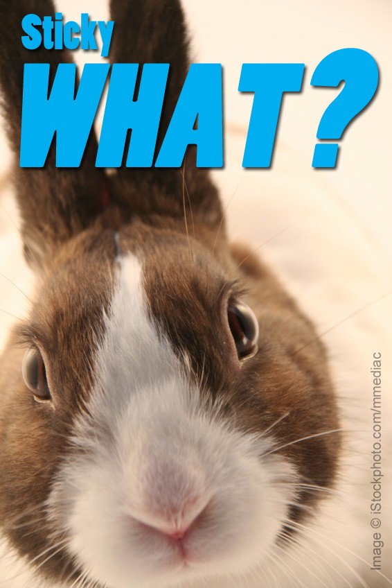 Causes of sticky bottom syndrome in rabbits