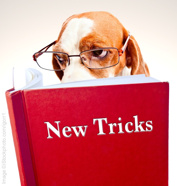 Teaching old dogs new tricks