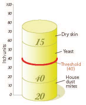 Figure 5. Patient C: itch unit level in a two-year-old female neutered Labrador retriever.