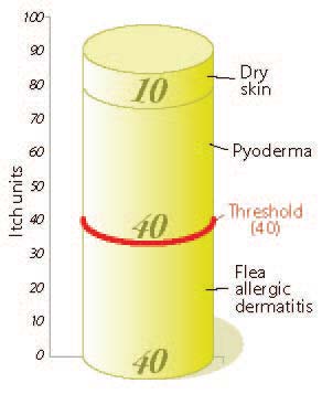 Figure 6. Patient D: itch unit level in a six-year-old male entire German shepherd dog.