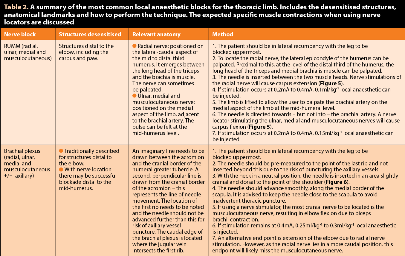 Table 2. A summary of the most common local anaesthetic blocks for the thoracic limb. Includes the desensitised structures, anatomical landmarks and how to perform the technique. The expected specific muscle contractions when using nerve locators are discussed.