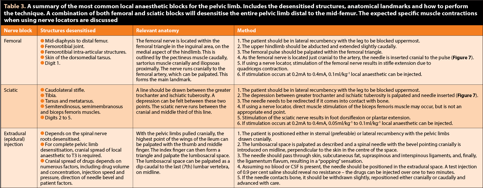 Table 3. A summary of the most common local anaesthetic blocks for the pelvic limb. Includes the desensitised structures, anatomical landmarks and how to perform the technique. A combination of both femoral and sciatic blocks will desensitise the entire pelvic limb distal to the mid-femur. The expected specific muscle contractions when using nerve locators are discussed.