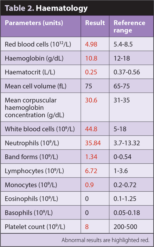 Table 2. Haematology.