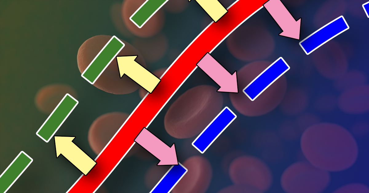 Oxyhaemoglobin dissociation curve, pt 4: left and right shift