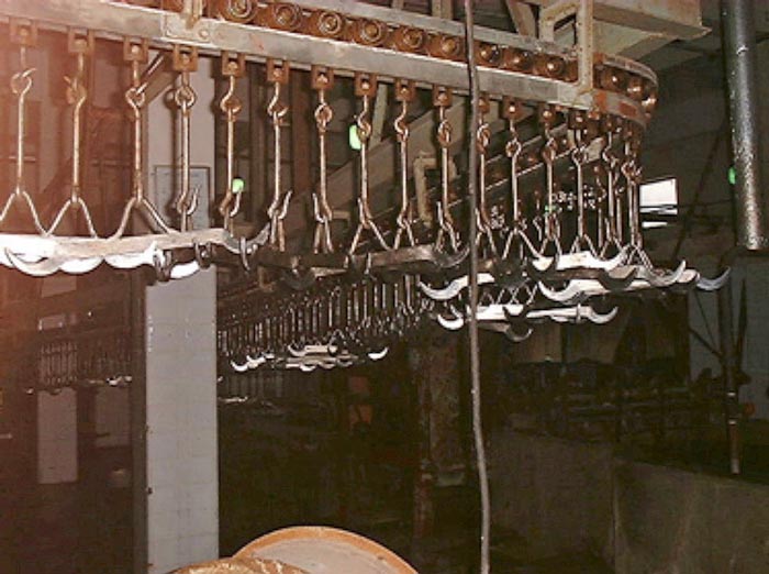 Empty shackles, another of the four classical mistakes in finishing pig flow.