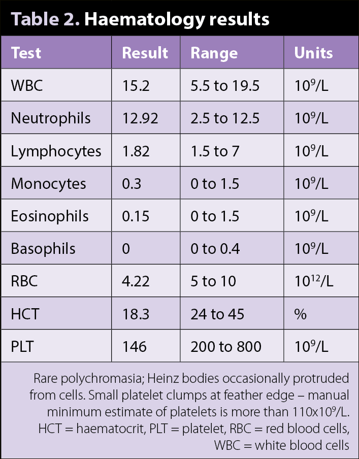 Table 2. Haematology results.