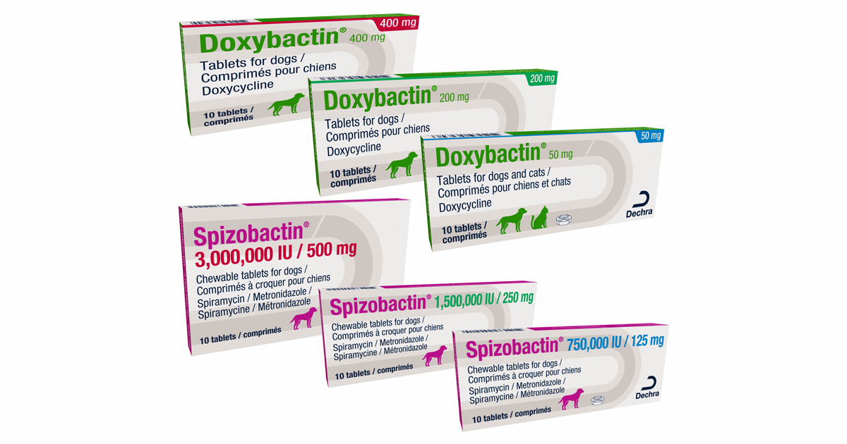 Doxybactin-SpizobactinFTR