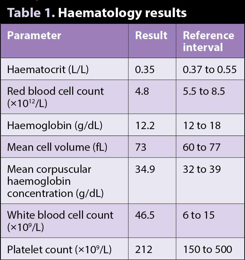Table 1. Haematology results.