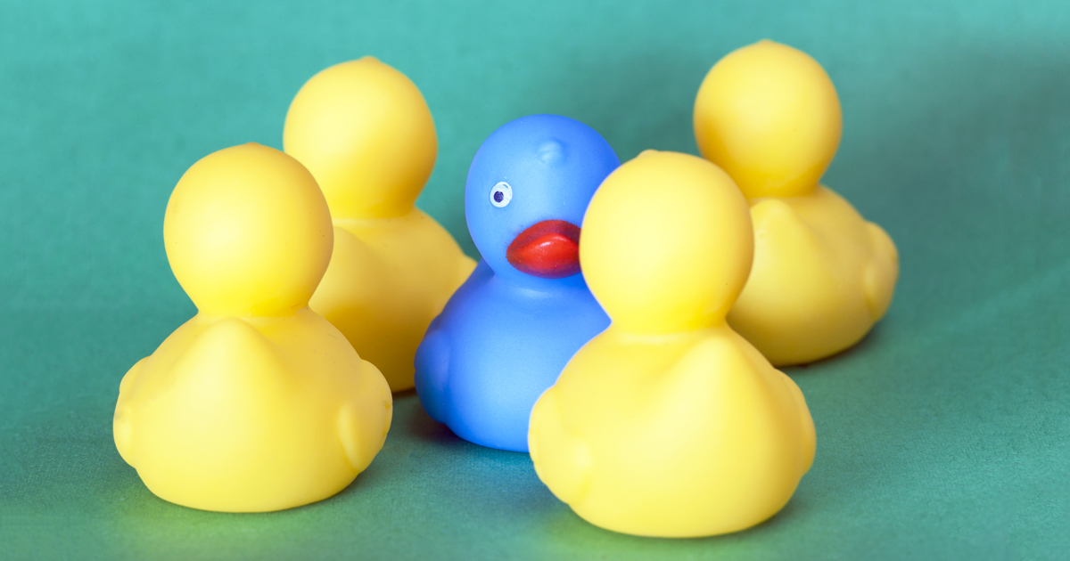 ducksFTR