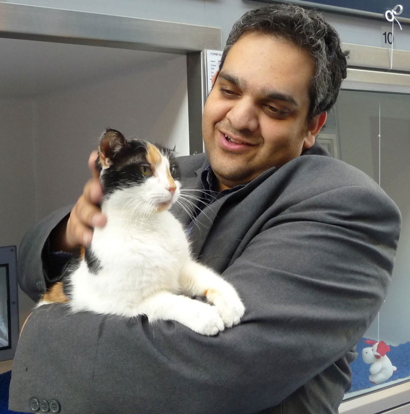 International Cat Care Welfare of the Year Award.