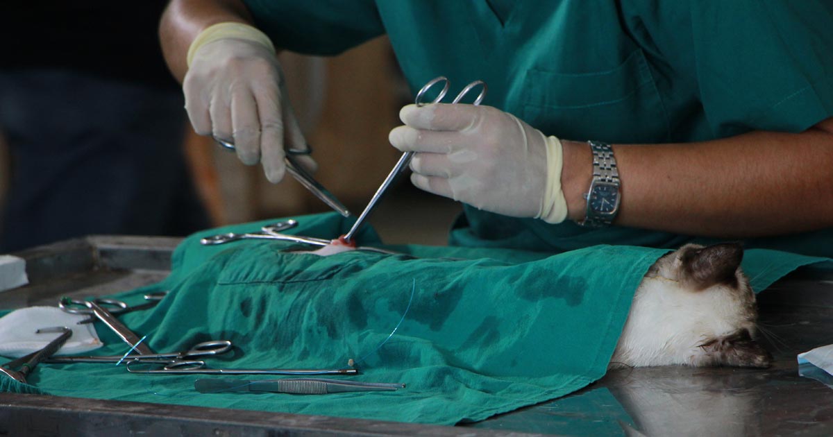 suturing