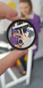 Figure 13. A demonstration of how the image is altered by the lens; the pug and vet appear both upside down and back to front.