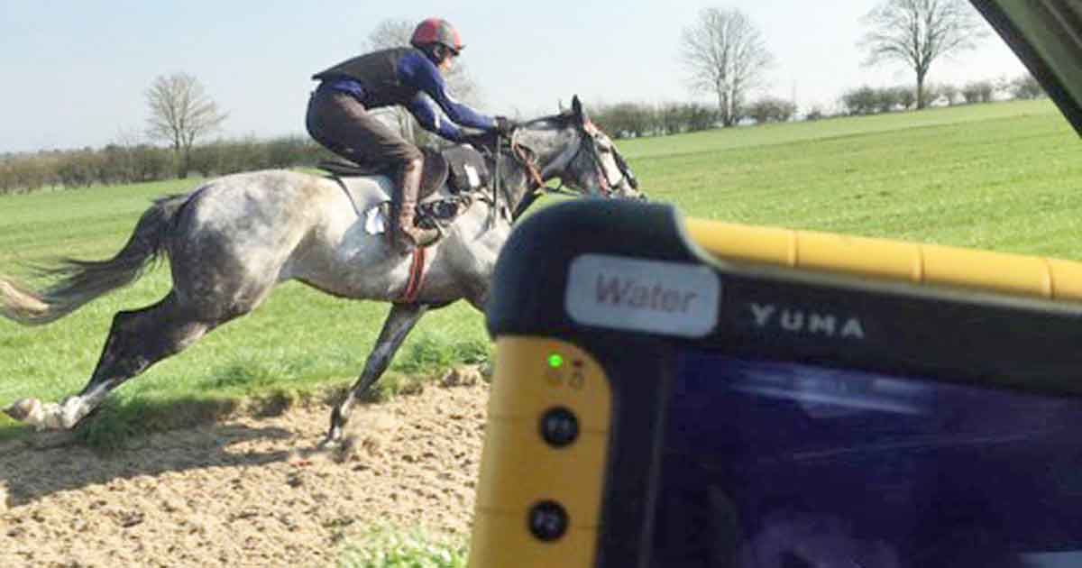 Figure 1. A horse undergoing exercising overground endoscopy during normal training.