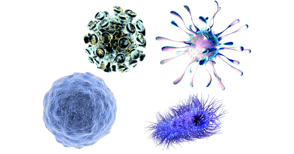 Viruses and bacteria.