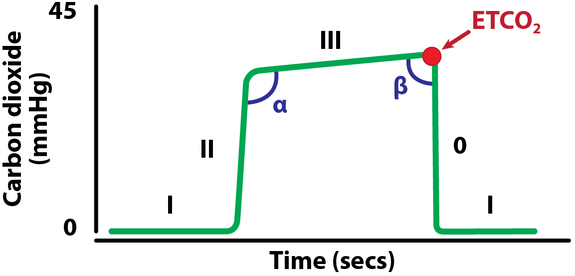 Capnography – a refresher