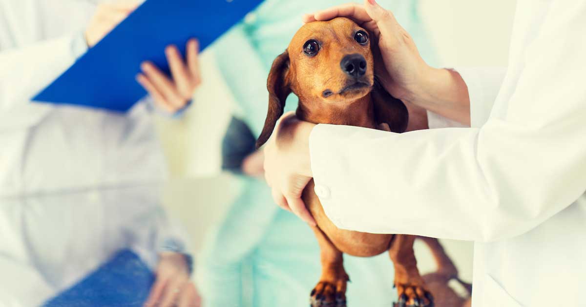 Image: Syda Productions / Adobe Stock
