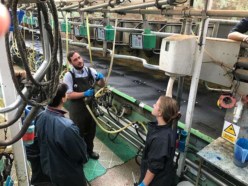 Students lean how to assess the milking parlour.