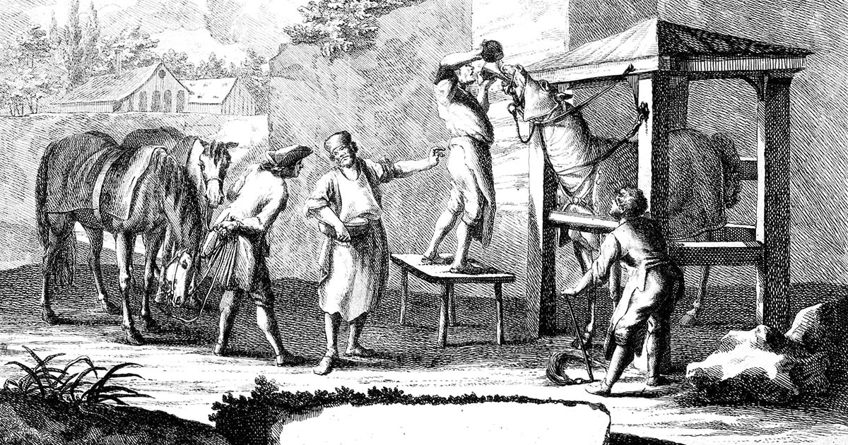 Veterinary history