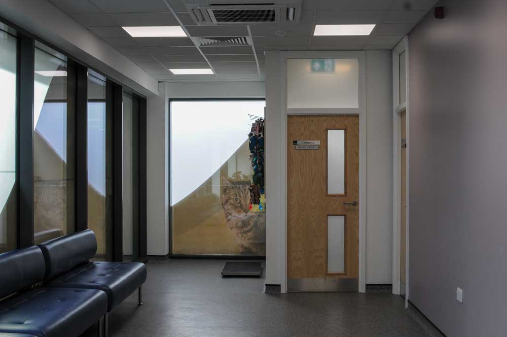 Images: Highland Vet Referrals