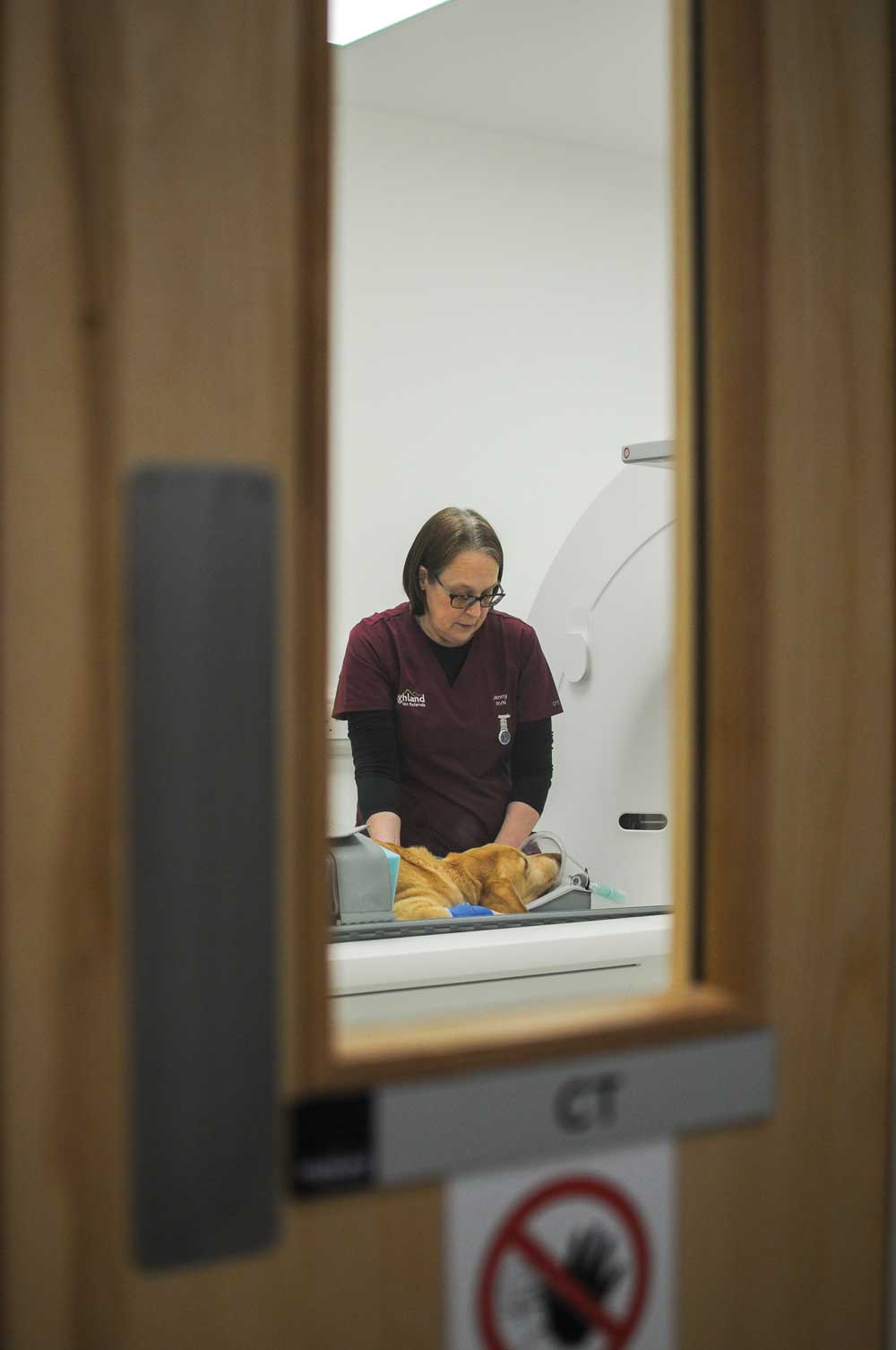 Images: Highland Vet Referrals