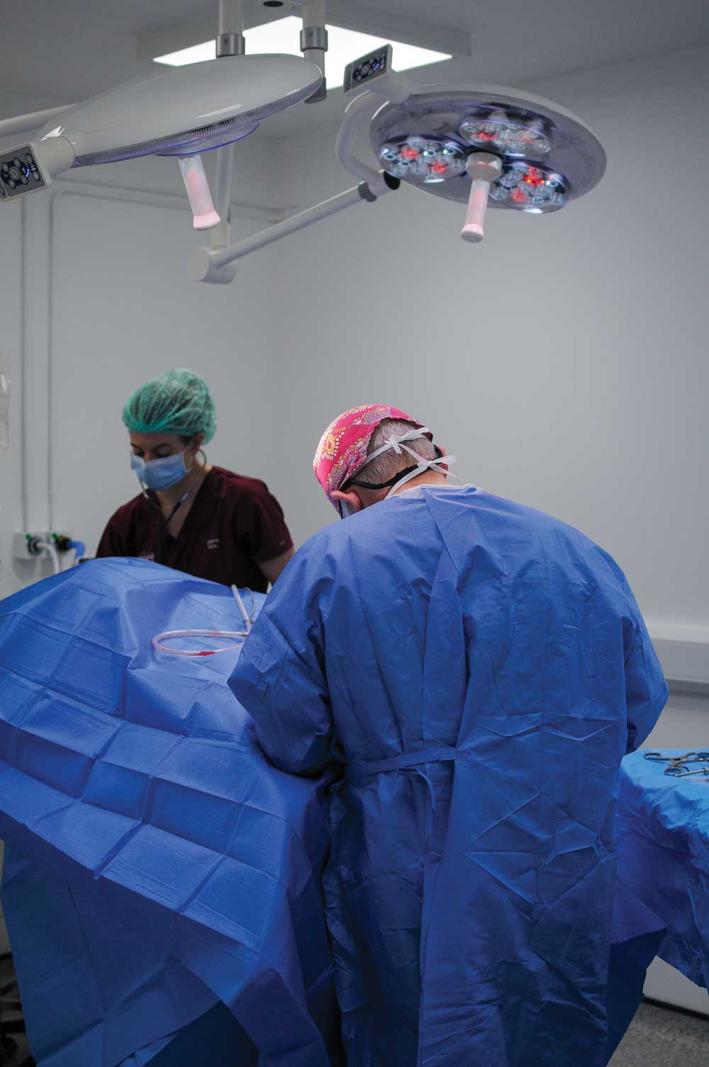 Images: Highland Vet Referrals