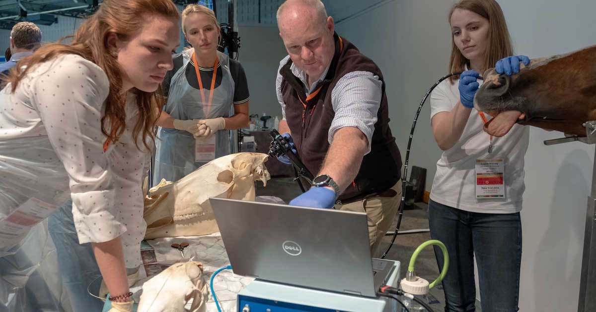 BEVA Congress is taking place in Birmingham from 13-16 September.