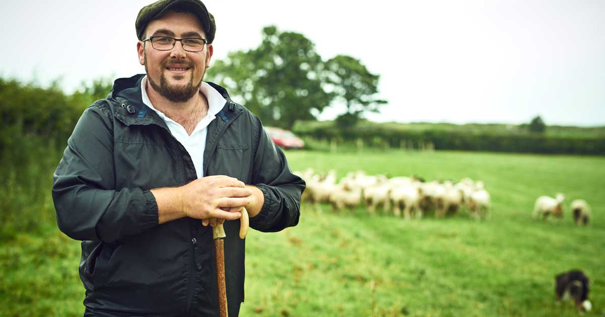 sheep farmer Image: © Camerene Pendl/peopleimages.com / Adobe Stock