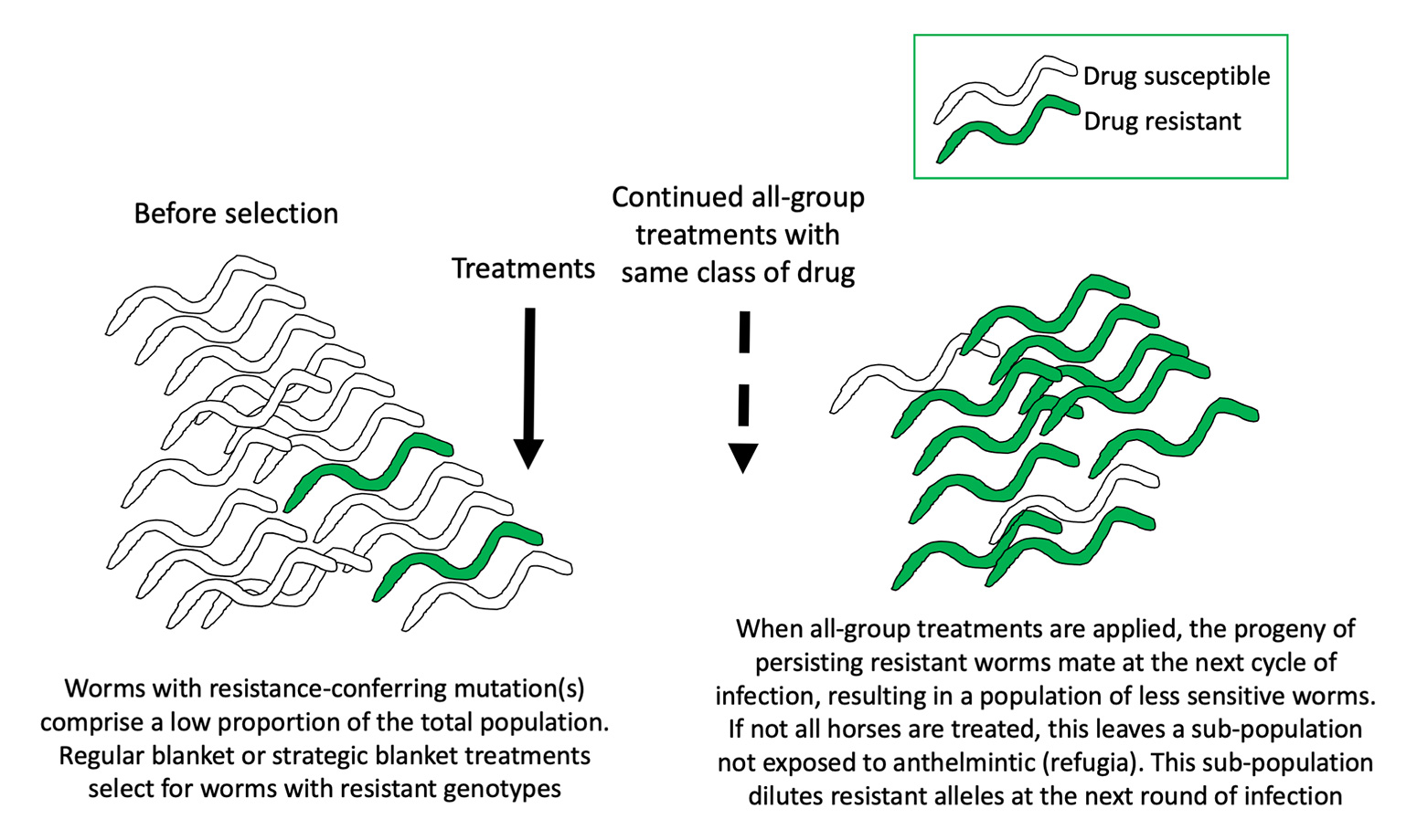 The worms have turned: an update on anthelmintic resistance