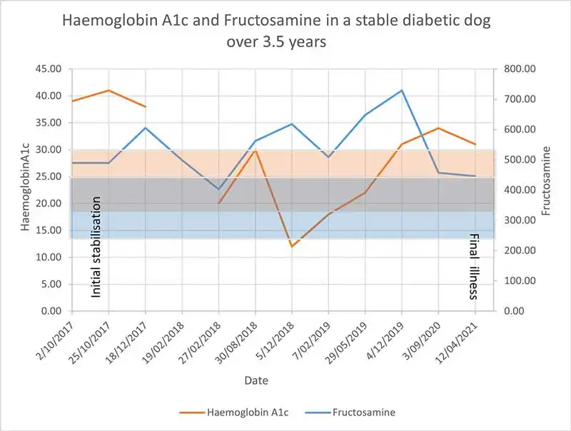 Figure 5. Haemoglobin A1c and fructosamine measured over time in a stable diabetic dog. The range for fructosamine concentrations, which is considered to be consistent with good diabetic control, is cited by some laboratories as 250micromol/L to 450micromol/L. The range for haemoglobin A1c concentrations has not been defined, but normal dogs are between 9mmol/mol and 18mmol/mol and the authors find most stable diabetic dogs are between 18mmol/mol and 30mmol/mol.