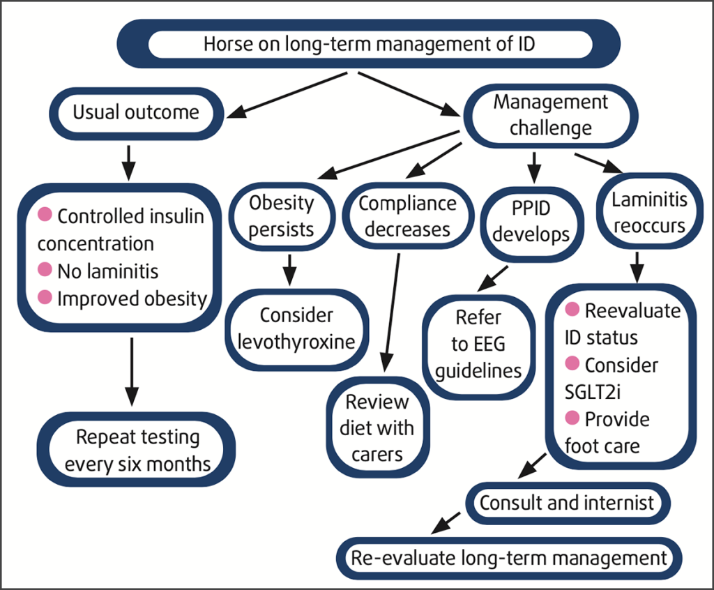 Ppid Pathogenesis Evidence-based management of EMS and PPID in horses