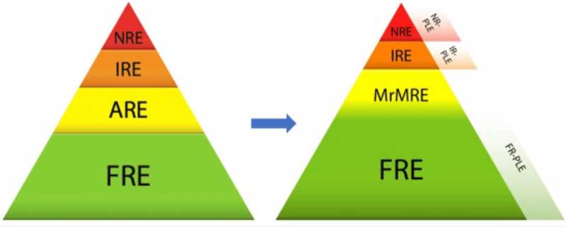 Figure 2. Previous and new classification for chronic inflammatory enteropathies.
