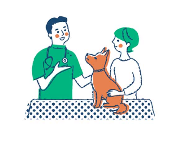 consult room graphic consulting client pet vet Image: iStock / hisa nishiya