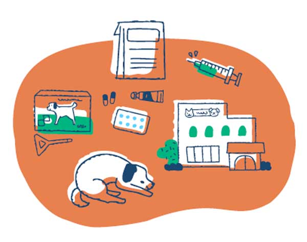 parasite graphic Image: iStock / hisa nishiya