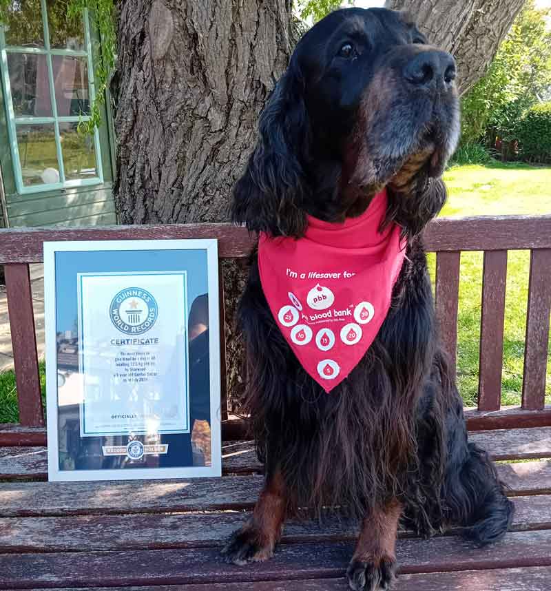 Blood donor Sharwood, with his framed Guiness World Record.