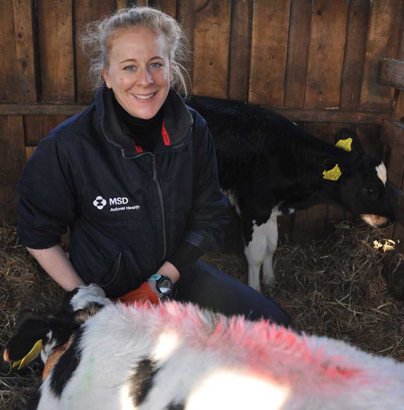 Kat Baxter-Smith, vet advisor at MSD Animal Health.