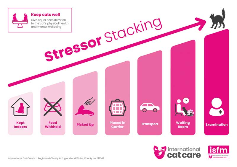 Figure 1. Stressor stacking. Image: International Cat Care