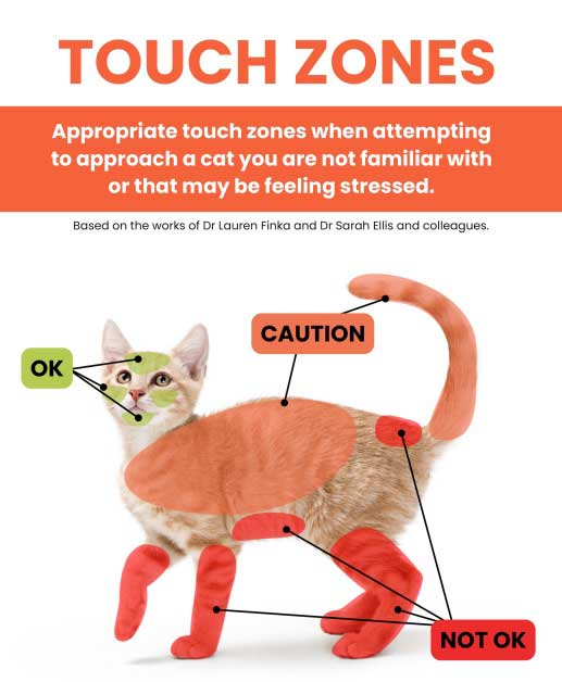 Figure 13. This touch zones infographic is based on the work of Lauren Finka and Sarah Ellis and colleagues, and shows which areas cats are most and least likely to accept being touched (although this may vary between individuals). Image: International Cat Care