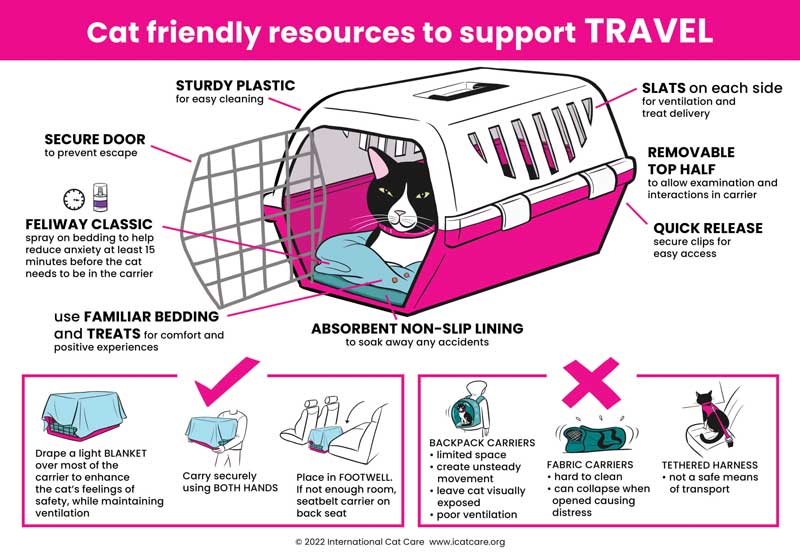 Figure 2. Cat friendly resources to support travel. Image: International Cat Care