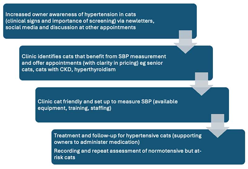 Figure 3. A team approach to increasing uptake and the value of blood pressure measurement in practice.