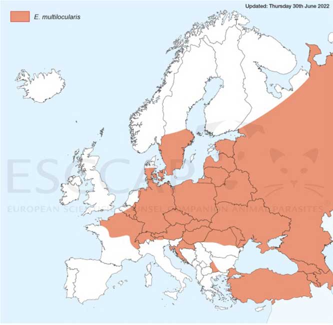 Figure 3. Distribution of Echinococcus multilocularis in Europe.
