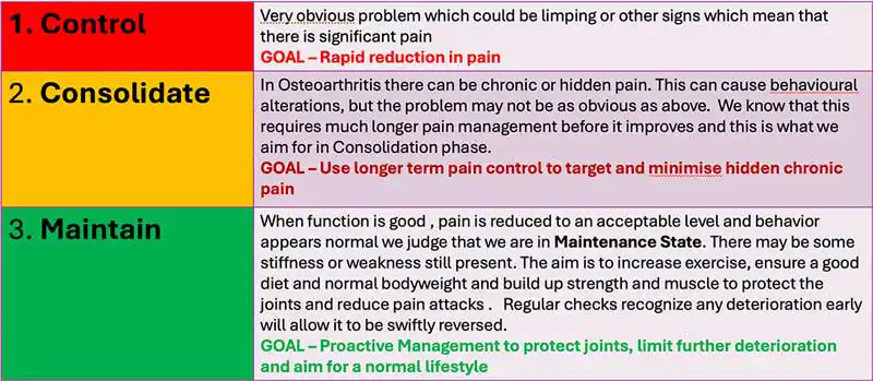 Figure 4. A simple explanation of the different management phases and the treatment goals for each.
