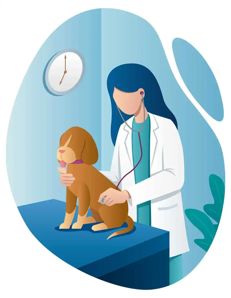 consult Image: iStock / Malchev