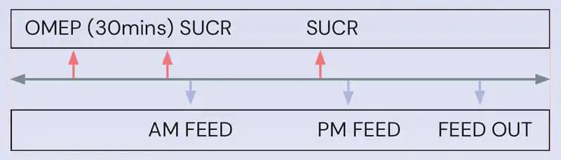 Figure 7. Suggested timeline for administration of oral omeprazole and sucralfate. (OMEP: omeprazole; SUCR: sucralfate). Modified from Vokes et al, 2023.