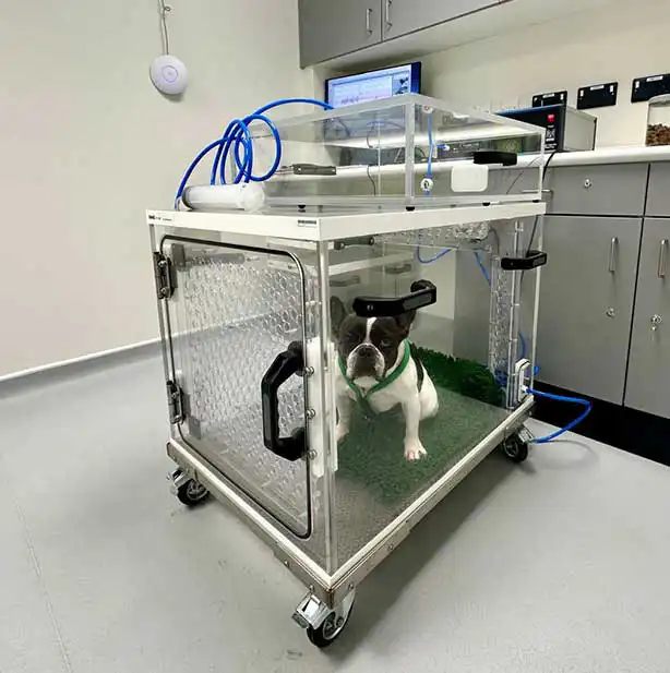 Figure 1. Whole-body barometric plethysmography assessment.