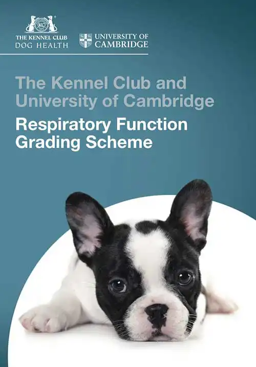 Figure 2. The Kennel Club/University of Cambridge respiratory function grading scheme.