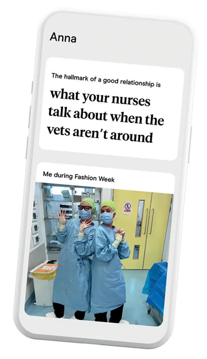 Mobile phone with an image and caption of what your nurses talk about when the vets aren't around