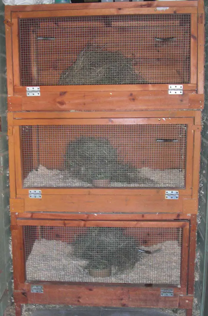 Figure 1. Rabbit breeder’s hutch, providing very little space.