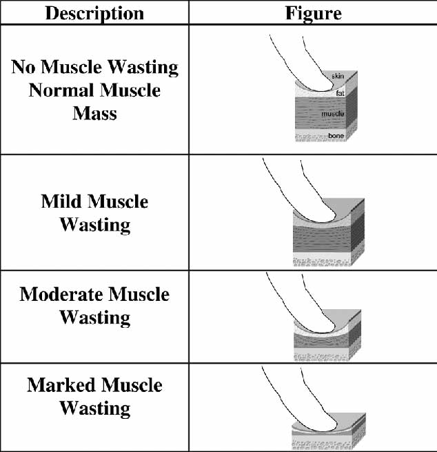 Figure 1. WSAVA muscle score assessment.