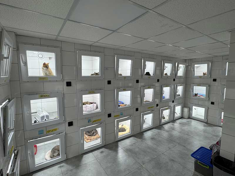 Kennels in a practice in Ukraine